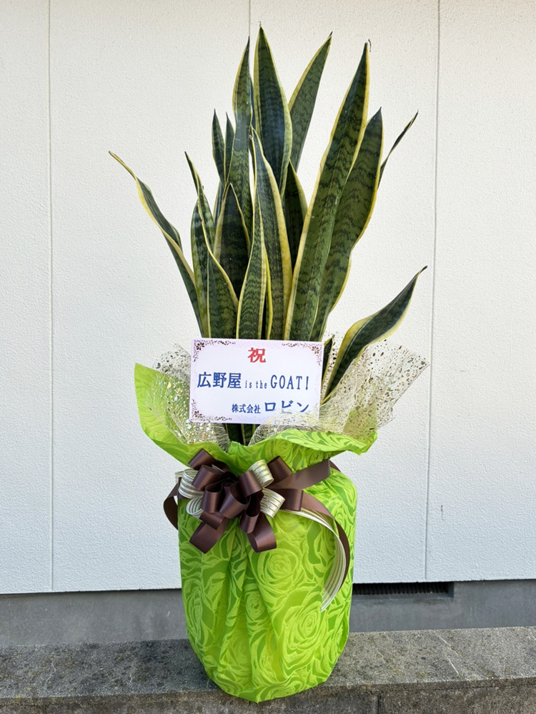 広野屋 ポロシャツ エプロン|天童市 焼きそば処